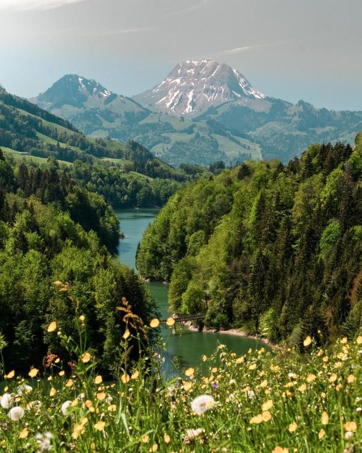 Chalet Apartment Serenity Lodge Charmey Esterno foto