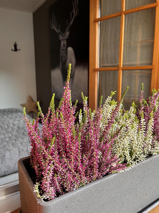 Chalet Apartment Serenity Lodge Charmey Esterno foto